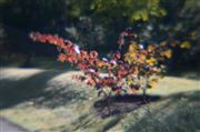 Retro Autumn