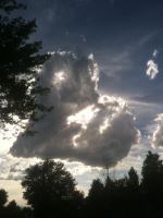 Hearts In The Sky