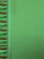 Wall
