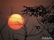 Sunset My Favourite Colour