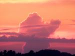 Sunset Frog Giant