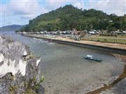 Bird's-Eye View