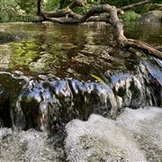 Downstream Marlay