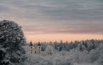 Winter Beauty