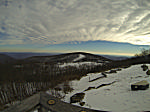 Wintergreen