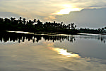 Dawn