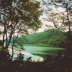 Back To Nature