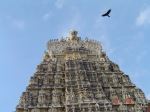 One Of The Ancient Temples In India