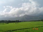 Green Fields Of Kerala