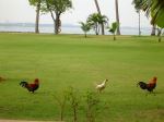 Santosha Island