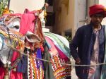 Tribes With Holy Cow 
