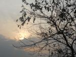 Breaking Dawn