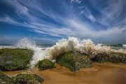 Waves