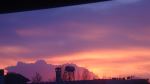 Blue And Pink