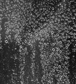Rain Storm Matrix