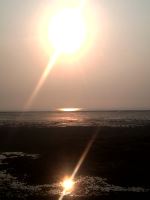 Sun On Earth