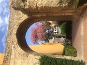 Alcazar