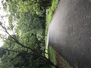 Road Untravelled