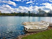 The Quiet Of The Fontainebleau Lake