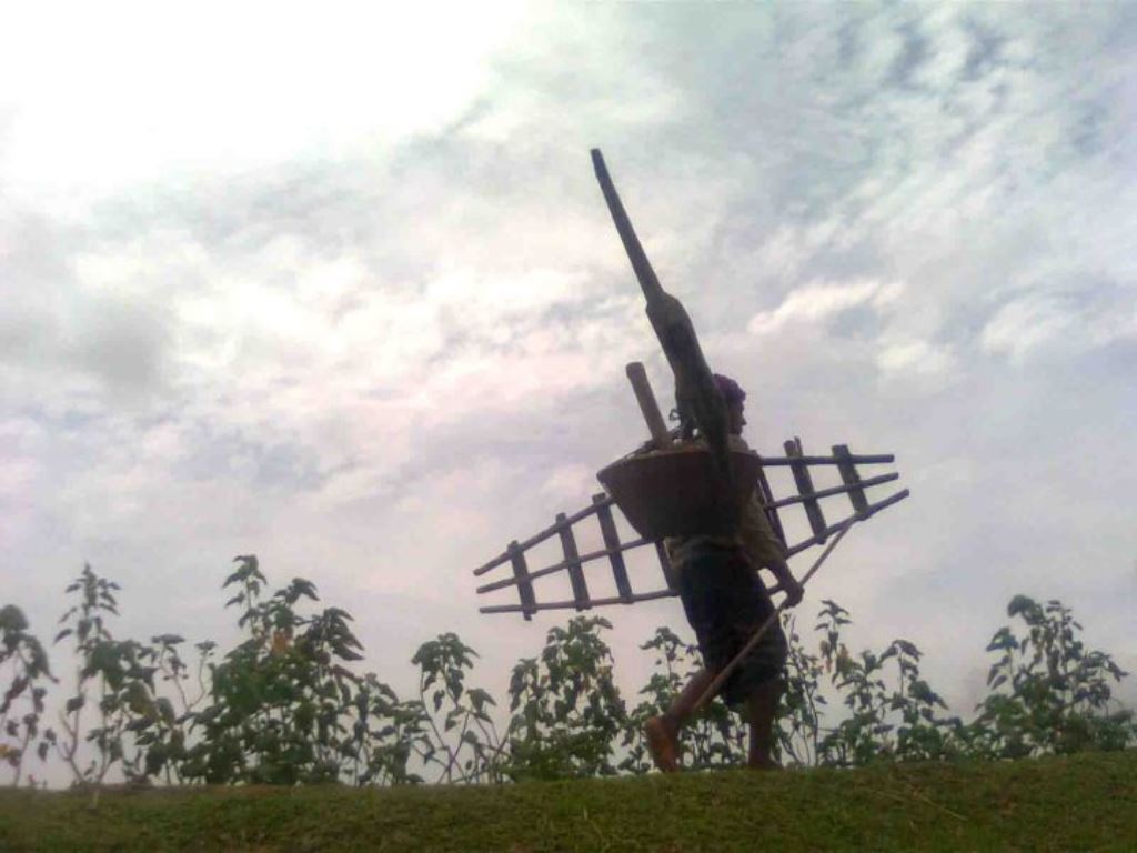 Return Of Farmer