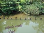 The Lake