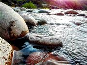 Gud Luck Stones In Flowing Nectar From Gods 