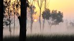 Rising Sun