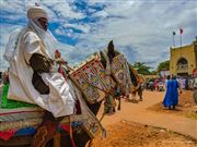 Horse Rider 
