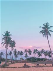 Tropical