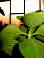 The Changing Equation