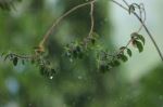 It Was A Rainy Day