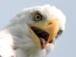 You Talking To Me
