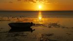Golden Sunset