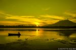 Early Morning Fishing
