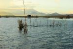 Fish Pen On Lake