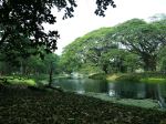 Cool Lake