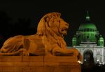 Victoria At Night