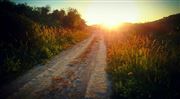 Spring Path In Palestine