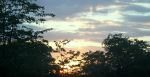 Zim Sunset