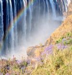 Colors Of Hope