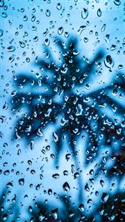 Rainy Day 