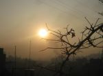 Erarly Fresh Morning