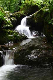 Power Of Water 