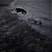 Born To Run