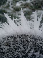 Ice Crystal Formation 