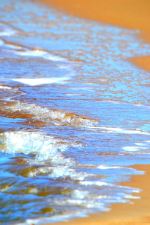 Shore Line