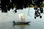 The River