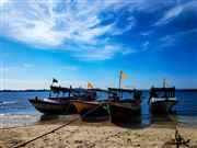 The Boats