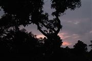 Beautiful Sun 