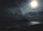 Moonlight To The Islet 